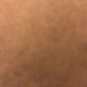 Meet your Posher, Yanet